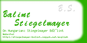 balint stiegelmayer business card